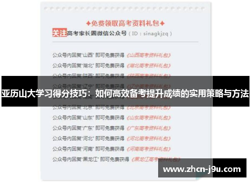 亚历山大学习得分技巧：如何高效备考提升成绩的实用策略与方法