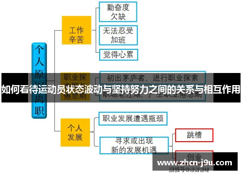 如何看待运动员状态波动与坚持努力之间的关系与相互作用