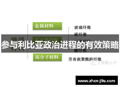 参与利比亚政治进程的有效策略