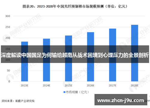 深度解读中国国足为何输给越南从战术困境到心理压力的全景剖析